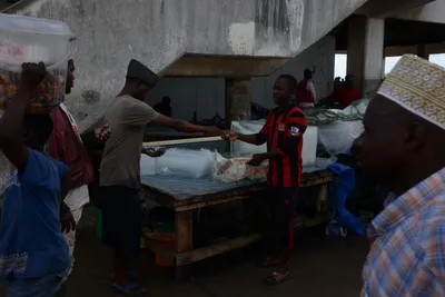 DSC_7576 (Large).JPG